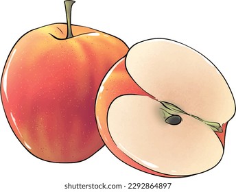 fresh red apple sliced vector