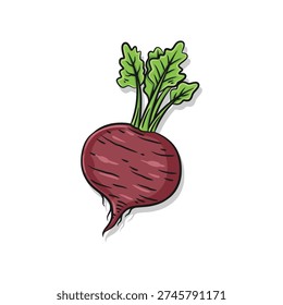 A fresh red beet root with its green stems intact, ideal for farm-to-table menus and organic food packaging designs.