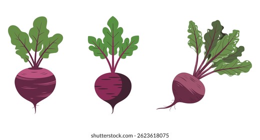Fresh red beetroot vegetable set for healthy juices and salads, Set of beets with leaves. Beetroot, isolated, vegetable, set PNG, Four freshly harvested beetroot with lush green tops rest on a weather