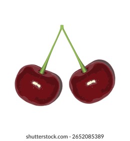 Fresh red cherries on white background. Perfect for seasonal food designs, product packaging, wellness themes. Vector Not AI generated