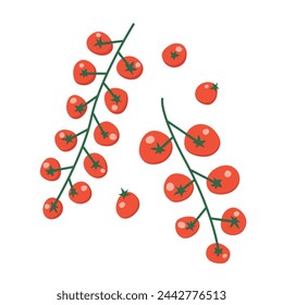 fresh red cherry tomatoes from farmers market; perfect for use in culinary blogs, recipe cards, or food-related social media posts- vector illustration