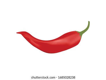 Fresh red chilli vector illustration