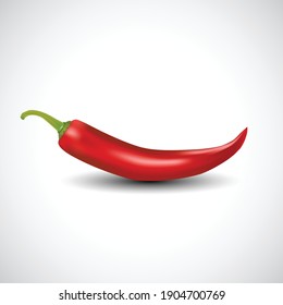 fresh red chilly isolated white background. vector illustration 