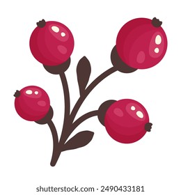 Grosella roja fresca aislada sobre fondo blanco. Pegatina de fruta. Vista superior actual. Las bayas jugosas enteras se cierran. Comida orgánica. Ilustración vectorial para un estilo de vida saludable, buena nutrición