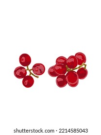 fresh red grapes fruit object vector.