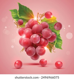 Ilustración vectorial de uvas rojas frescas. frutas