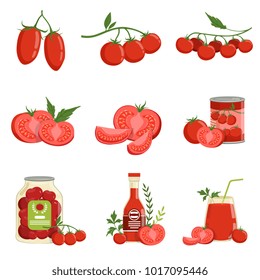 Fresh red healthy tomatoes and tomato products set of vector Illustrations
