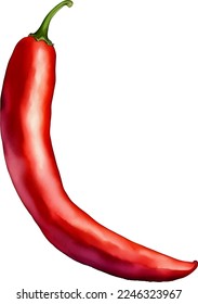Fresh Red Hot Chili Hand Drawn Watercolor Painting