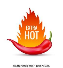 Fresh red hot chili pepper. Kitchen organic vector spicy taste chili mexican pepper with flame fire.