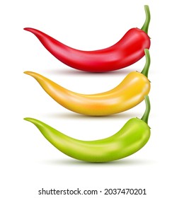 Fresh red hot chili pepper. Kitchen organic yellow and green vector spicy taste chili Mexican pepper