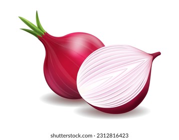 Fresh red onion 3d vegetable. Photo realistic whole and half purple onions bulbs cooking and salad ingredient close-up image, tasty diet product isolated vector illustration