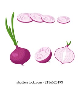 Fresh red onion with green leaf in cartoon style. Vector whole and parts useful onion isolated on a white background.