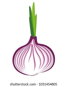 Fresh red onion with sprouts vegetable from the garden organic food vector illustration isolated on white background web site page and mobile app design.