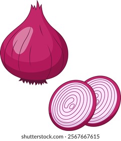 Fresh red onion vector illustration