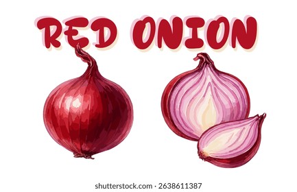 Fresh red onion vector illustration showing whole bulb and sliced pieces in watercolor hand-painted style.