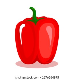 fresh red paprika flat vector