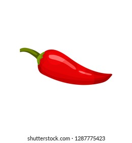 Fresh red pepper. Spicy vegetable. Organic and healthy food. Natural product. Cooking ingredient. Flat vector icon