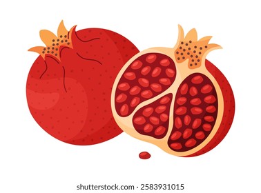 Fresh red pomegranate whole and half fruit. Raw food Hand drawn trendy flat style isolated icon. Ripe pomegranate fruit, Punica granatum. Vector illustration