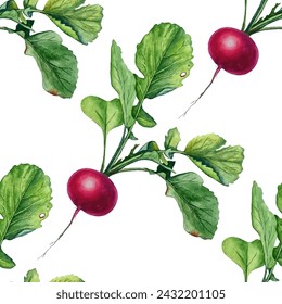 Fresh red radish with green leaves vector illustration isolated on white background. Healthy food organic vegetable. Pink magenta redish with green fresh foliage. Food illustration seamless pattern