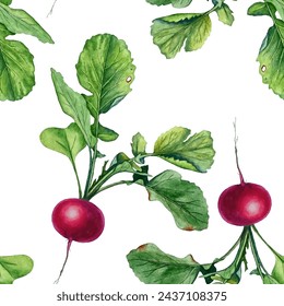 Fresh red radish with green leaves vector illustration isolated on white background. Healthy food organic vegetable. Pink magenta redish with green fresh foliage. Food illustration seamless pattern