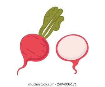 Rábano rojo fresco, entero con hojas verdes y cortado por la mitad con carne blanca revelada. Adecuado para contenido centrado en la salud, usos culinarios en recetas y proyectos de temática vegetal. Ilustración vectorial plana.