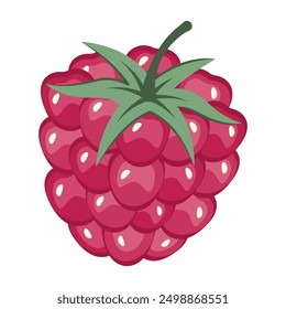 Fresh red raspberry isolated on white background. Fruit sticker. Raspberry texture. Whole Juicy berry close up. Fresh ripe fruit top view. Organic food. Vector illustration