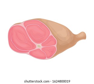 Fresh Red Raw Meat and Bacon Vector Composition