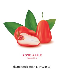 Fresh red Rose apple (wax apple, Syzygium samarangense) fruit isolated on white background.