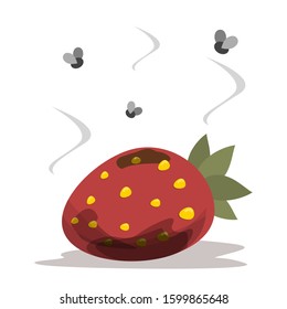 Fresh and red strawberry become rotten and bad vector isolated. Food waste. Dirty, bad and unhealthy berry. Food trash