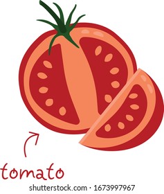Cortado de tomate rojo fresco en ilustración de medio vector
