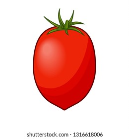 Fresh red tomato with green stem with shadows and highlights isolated on white background isometric front view.