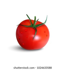 Fresh red tomato isolated on white background. Vector illustration.
