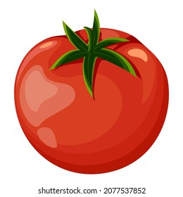Tomate rojo fresco. Ilustración vectorial aislada