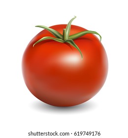 Fresh red tomato realistic vector illustration isolated on white background