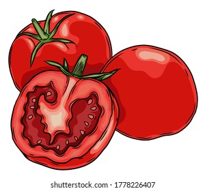 Fresh Red Tomato Vector Illustration