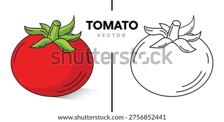 Fresh Red Tomato Vector Illustration Set. Flat Design Style and Black and White Line Art Version of Organic Vegetable Isolated on White Background.