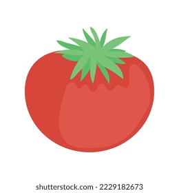 fresh red tomato vegetable icon