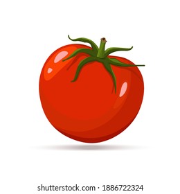 Fresh Red Tomato Vegetable isolated on white background. Tomato Icon for Market, Recipe Design. Organic Food. Cartoon Flat Style. Vector illustration for Your Design, Web.