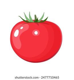 Fresh red tomato vegetable isolated icon. tomato for farm market, vegetarian salad recipe design. Organic food. vector illustration in flat style