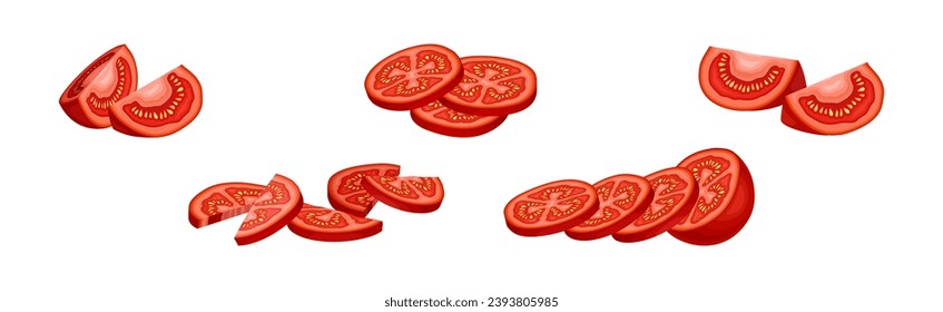 Fresh Red Tomato Vegetable as Mature Garden Crop Vector Set