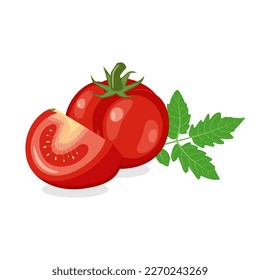 Frische rote Tomate. Eine ganze Frucht, Stück, Tomatenblatt. Vektorgrafik auf weißem Hintergrund.