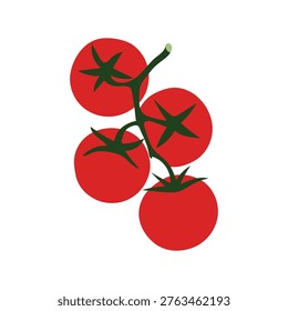 Fresh red tomatoes on the vine