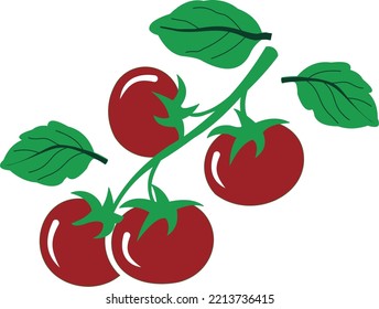 tomates rojos frescos, vector simple de tomate