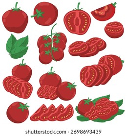 Fresh Red Tomatoes Vector Set: Whole, Sliced, Halved, and on Vine with Basil Leaves, Isolated on White