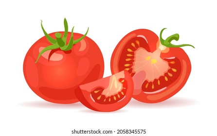 Fresh red tomatoes. Vegetables. Half a tomato, a slice and a whole tomato. Vector realistic illustration