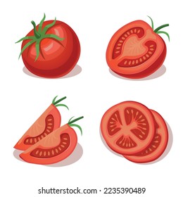 Frische rote Tomaten. Gemüse. Eine halbe Tomate, eine Scheibe und eine ganze Tomate. Vektorgrafik