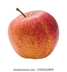 Fresh Red and Yellow Apple with Stem Isolated on White