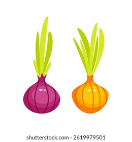 Fresh Red and Yellow Onions Growing Green Sprouts