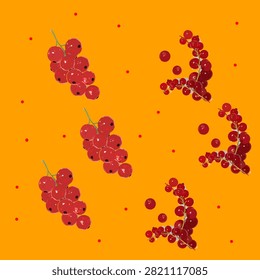 Fresh redcurrant berry pattern with ripe red currant bunches isolated on a bright orange yellow background.