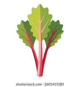 Fresh Rhubarb on White Background